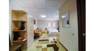 Гостиница Иркут Иркутск Люкс с 1 спальней и диваном-кроватью-6